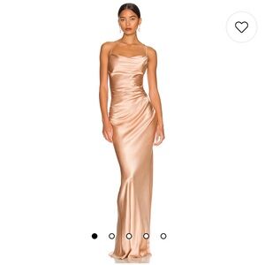 Shona Joy Silk Dress in Desert Rose